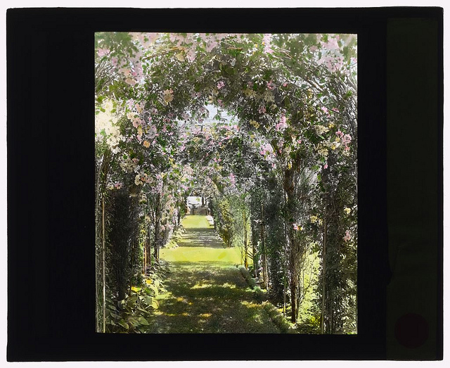 [Dr. Peter Brown Wyckoff house, Gin Lane, Southampton, New York. (LOC)