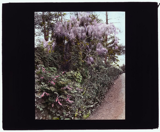 ["Willowmere," Rear Admiral Aaron Ward house, 435 Bryant Avenue, Roslyn Harbor, New York. (LOC)