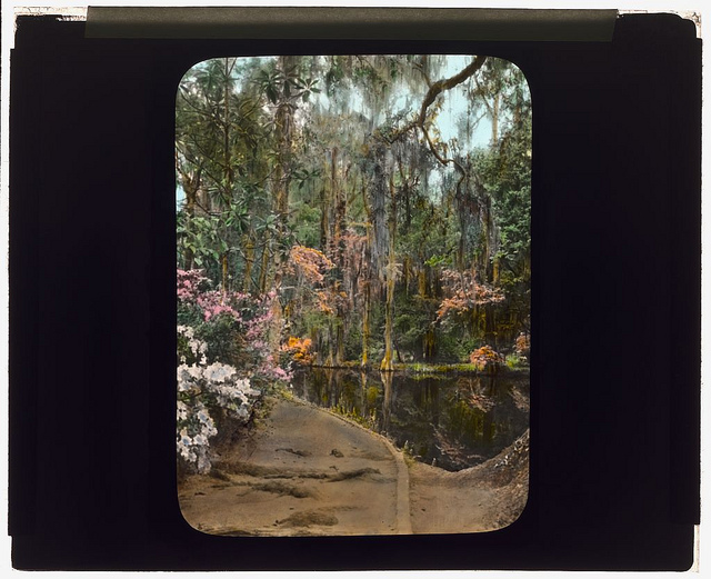 ["Magnolia Plantation," 3550 Ashley River Road, Charleston, South Carolina. (LOC)