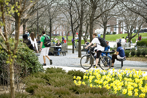 Students on campus mall.