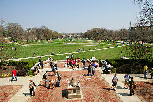 Testudo oversees McKeldin Mall