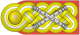 Rank insignia of Generalfeldmarschall of the Wehrmacht.svg