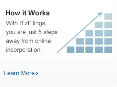 5 Steps to Online Incorporation