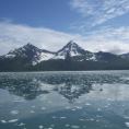 Photo: During a boat tour of the Kenai Fjords
Photo by Lacey Connelly.