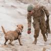 A dog's life: Mine dogs train to save lives [Image 2 of 10]