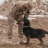 A dog's life: Mine dogs train to save lives [Image 10 of 10]