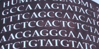 Scientists Discover How to Identify People From ‘Anonymous’ Genomes