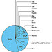 Figure 10: Location of Criminal Alien Arrests