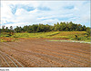 Figure 20: Irrigation on Farmer Training and Development Activity Participant Farm, Honduras Rural Development Project by U.S. GAO