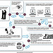 Figure 1: The Secure Communities Process