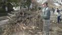 Hurricane Sandy Debris Removal In Long Beach