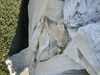 Photo: Alex Honnold climbs The Nose in Yosemite National