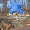 Blue tarps now common in Sussex County [Image 3 of 7]