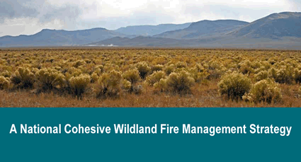 The National Cohesive Wildland Fire Management Strategy