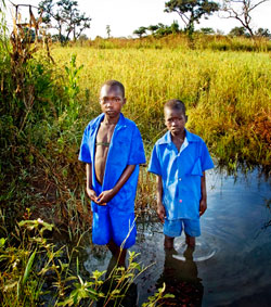 Photo of two boys standing in a marsh.