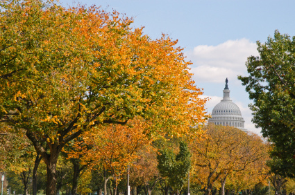 Washington, D.C. (Photo courtesy District Department of Transportation)