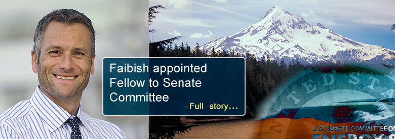 Faibish appointed Fellow to Senate Committee