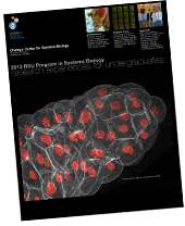 REU Final Experimental Results