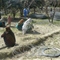 Afghan Women Plot Against Floods