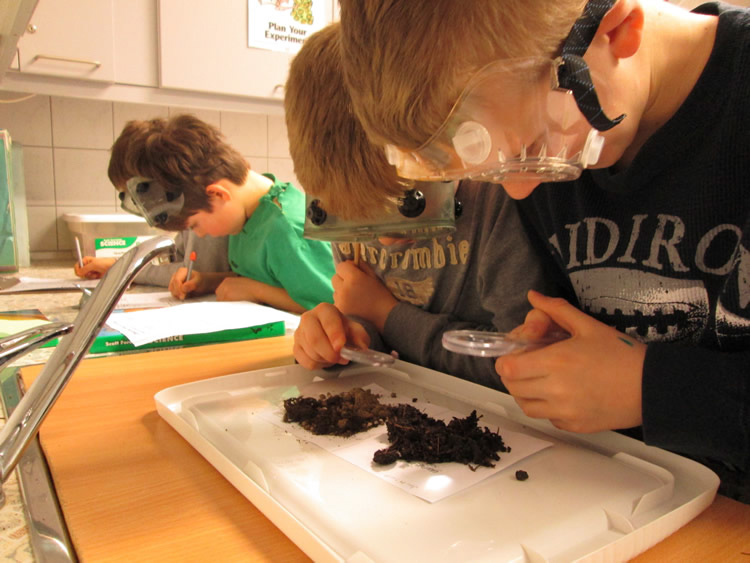 3rd Grade explores soil