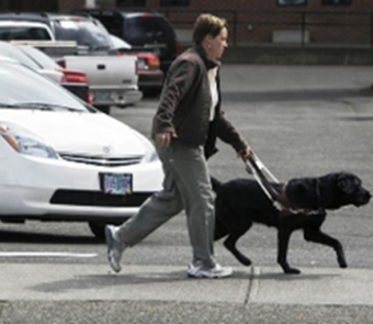 Image of blind woman with service dog crossing a street