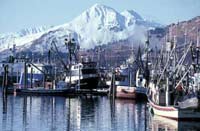 Kodiak harbor. Photo: NOAA Fisheries.