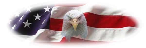 United States Flag in background, Bald Eagle in foreground