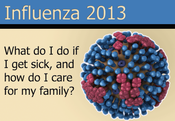 FLU 2013