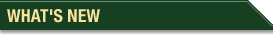 What's New Section Header
