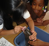 children examine fish