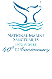 sanctuaries 40th anniversary