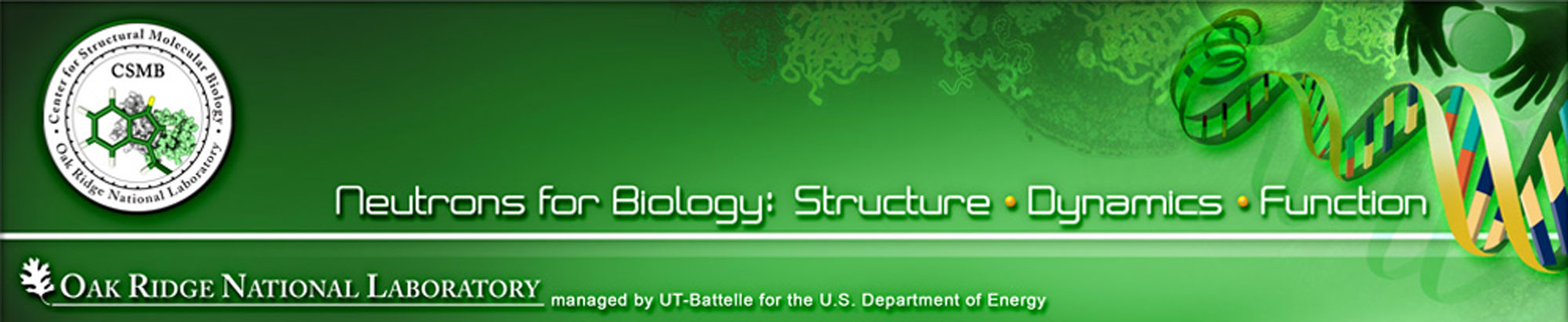 Neutons for Biology: Structure, Dynamics and Function