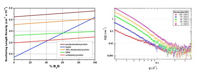 These graphs show materials with varying levels of deuterium incorporation