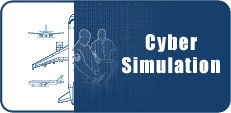 Cyber Simulation Infographic
