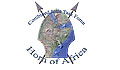 The Combined Joint Task Force-Horn of Africa