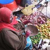 Business Survey Shows Surge in Investment in Somaliland