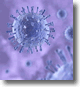 Influenza Surveillance Summary and Reports