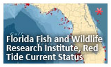 Click or touch to go to the  Florida Fish and Wildlife Research Institute Red Tide Current Status