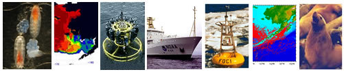 Array of photos depicting EcoFOCI work: copepods, ice map Bering Sea, CTD data collection, NOAA Ship Ron Brown, FOCI mooring in icy sea, drifter map, steller sea lion with pup