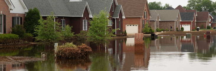 Flooded Neighborhood