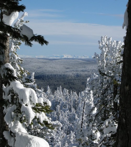 The distant mountains, as seen here from the Continental Divide, are the Absaroka Mountains which border the eastern side of Yellowstone National Park.Photo: National Park Service