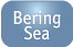 bering sea