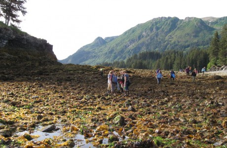 kbaytidepool