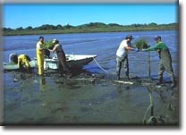 loading plants