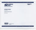 Express Mail® International Padded Flat Rate Envelope