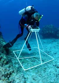 diver with equipment underwater