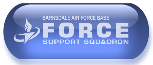 Barksdale Services 2 FSS website