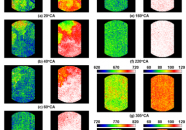 Measurements of Thermal Stratification in an HCCI Engine
