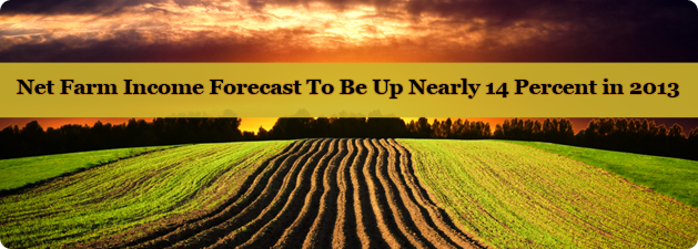 Net farm income for 2013 is forecast at $128.2 billion, up nearly 14 percent from the 2012 revised forecast. This year’s net farm income is expected to be the highest since 1973 after adjusting for inflation.