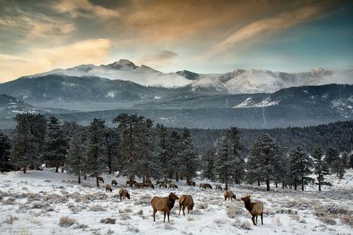 Pastel Sunrise Overlook of Upper Beaver Meadows, Rocky Mountain National Park, Dec. 25, 2012&#160;Photo: VIP Hahn